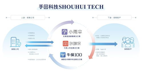 深陷困局還是另有轉機？業務單一保險中介的IPO突圍邏輯